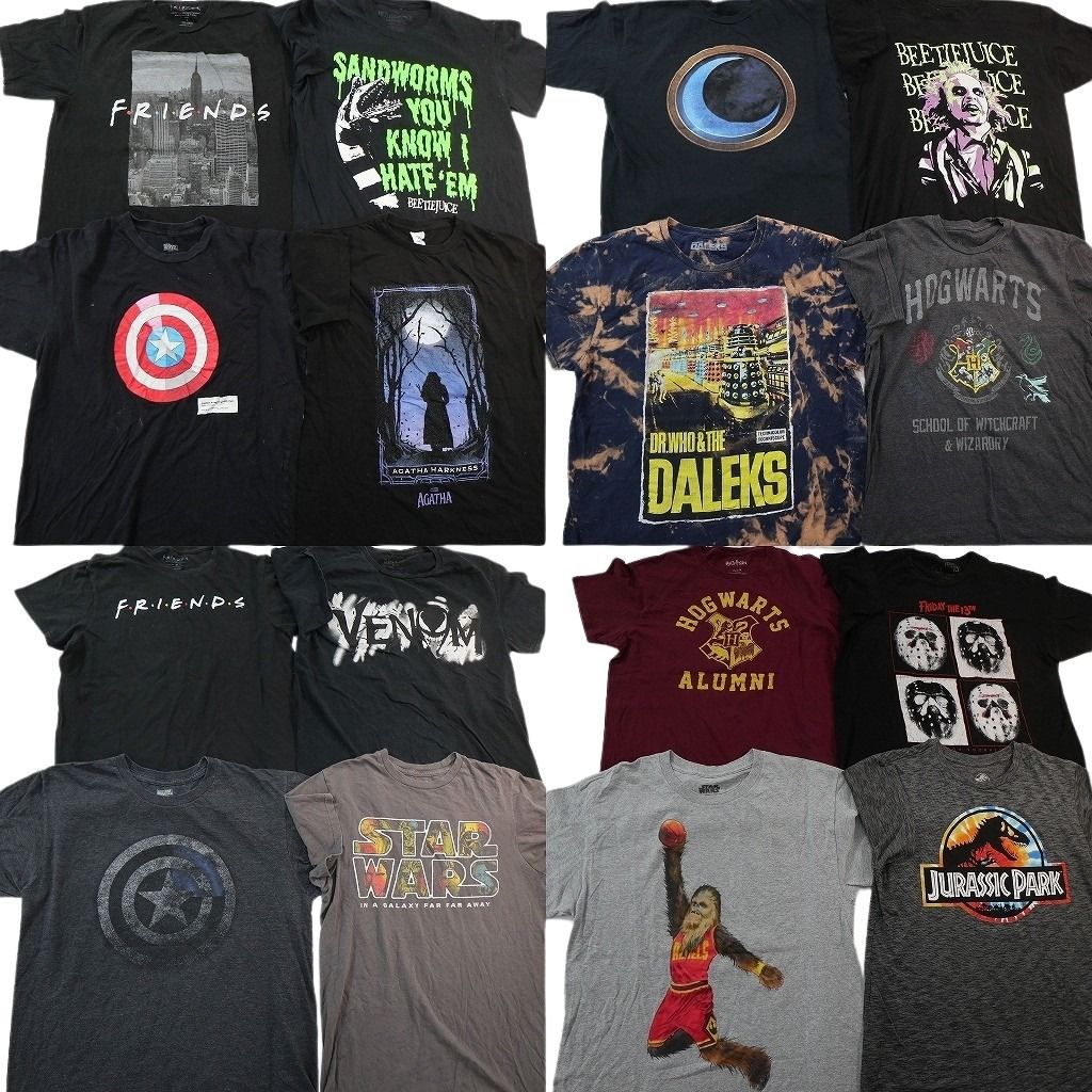 古着卸 まとめ売り 映画・ドラマ Tシャツ 16枚セット ( メンズ L/M ) ハリーポッター フレンズ キャプテンアメリカ 中古 古着 NF6875