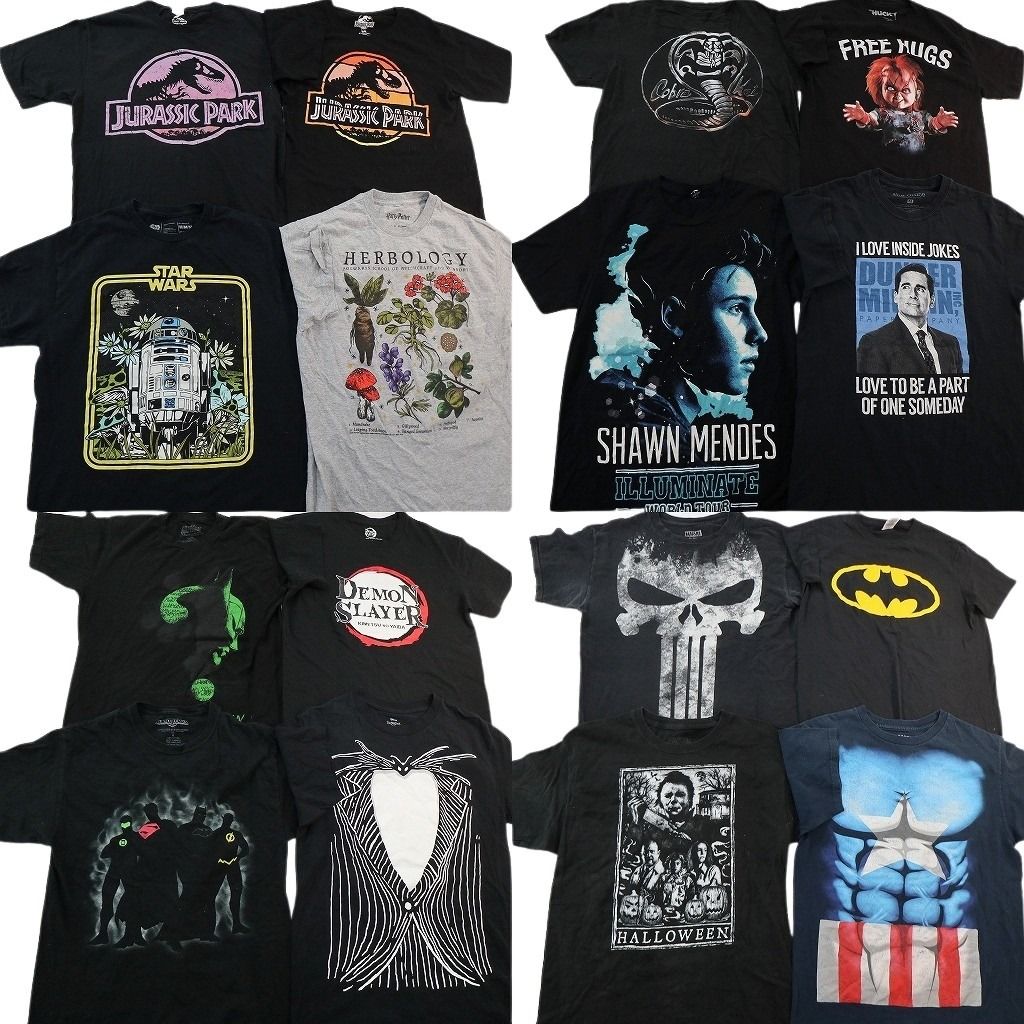 古着卸 まとめ売り 映画・ドラマ Tシャツ 16枚セット ( メンズ Ｍ ) ハリーポッター ジュラシックパーク スターウォーズ 中古 古着 NF6876