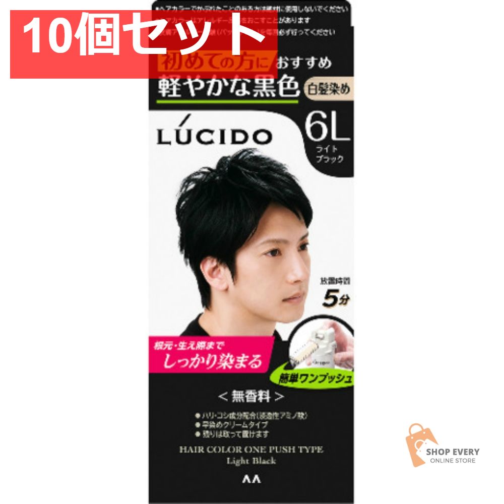 ルシード ワンプッシュケアカラー ライトブラック 10個セット まとめ売り