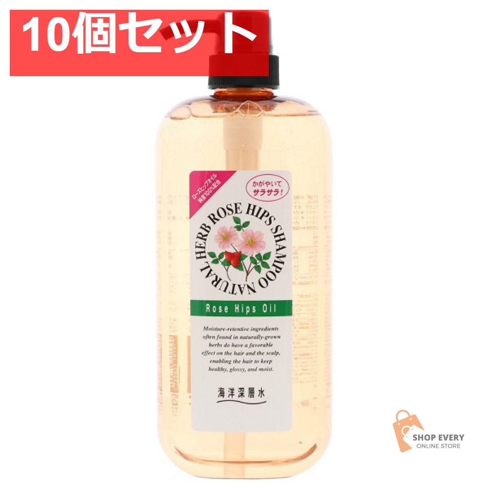 ジュン・コスメティック ナチュラルハーブシャンプー RH 1000mL 10個セット まとめ売り