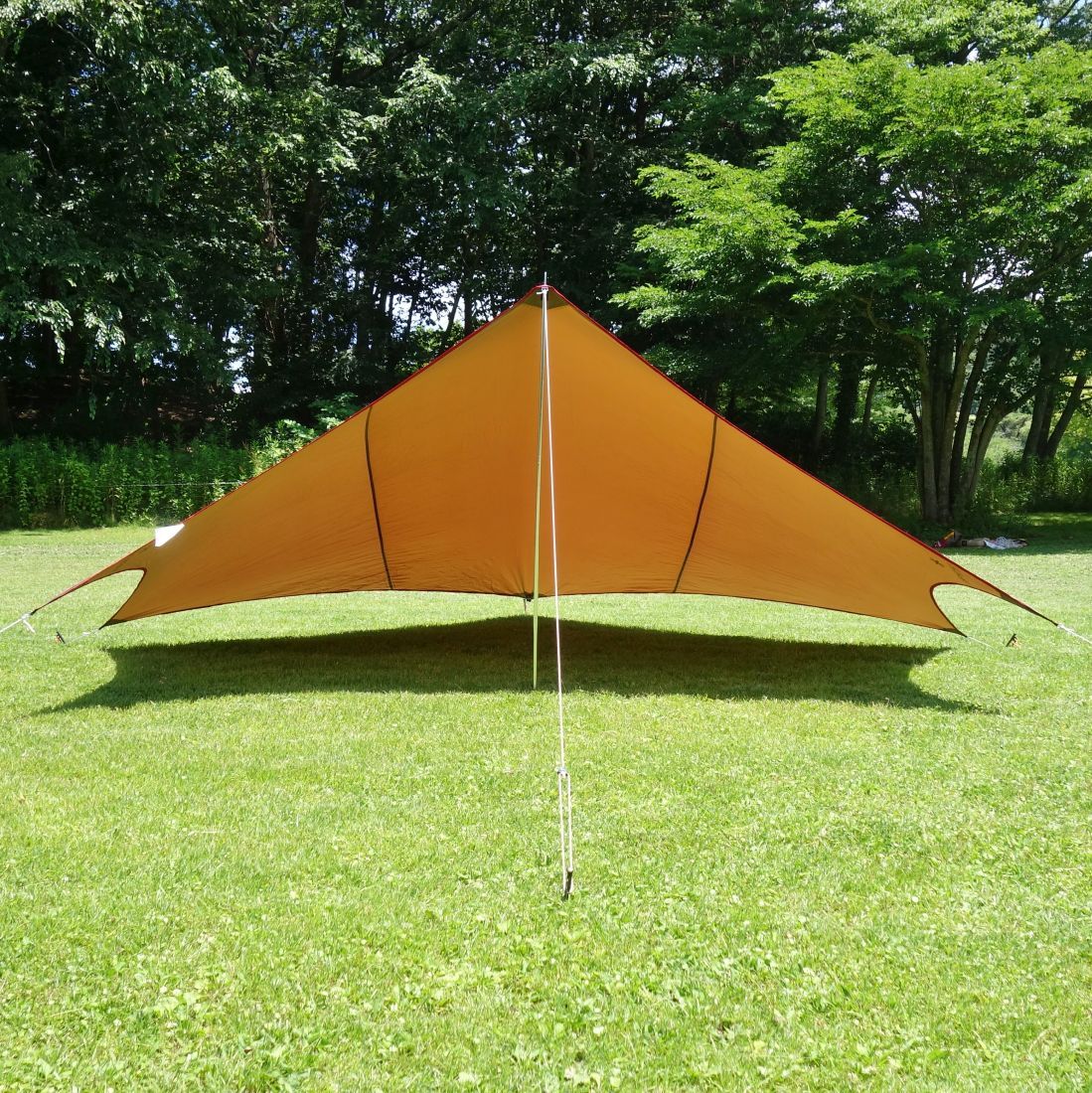 美品 スノーピーク snowpeak タープ ライトタープ ペンタ シールド S 