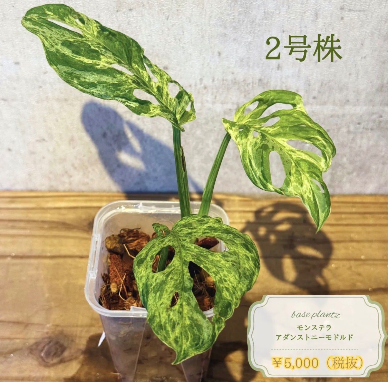 レオ❣️プロフィール必読❣️様専用ページ
