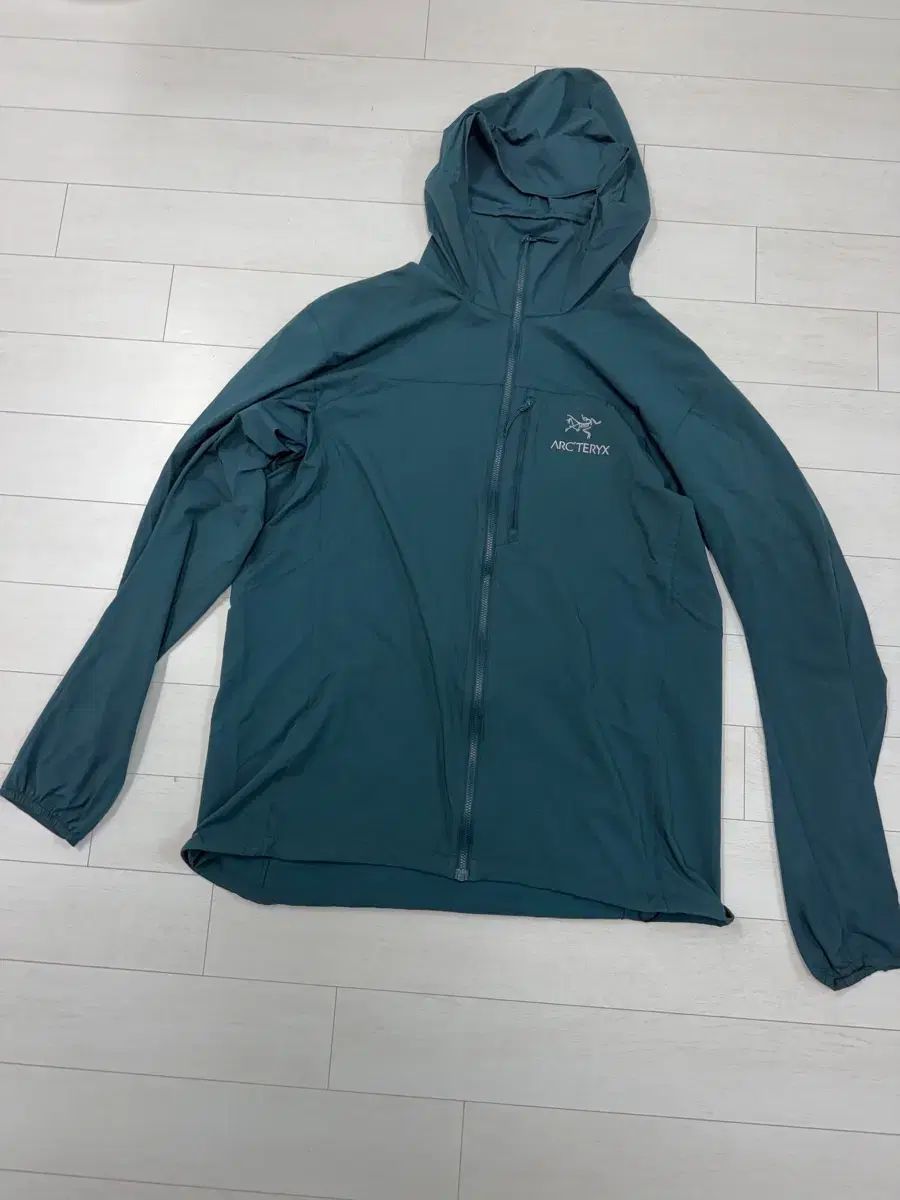 ARC'TERYX アークテリクス スコーミッシュ ラビリンス L サイズ 傷なし 9 5/10 写真を撮って