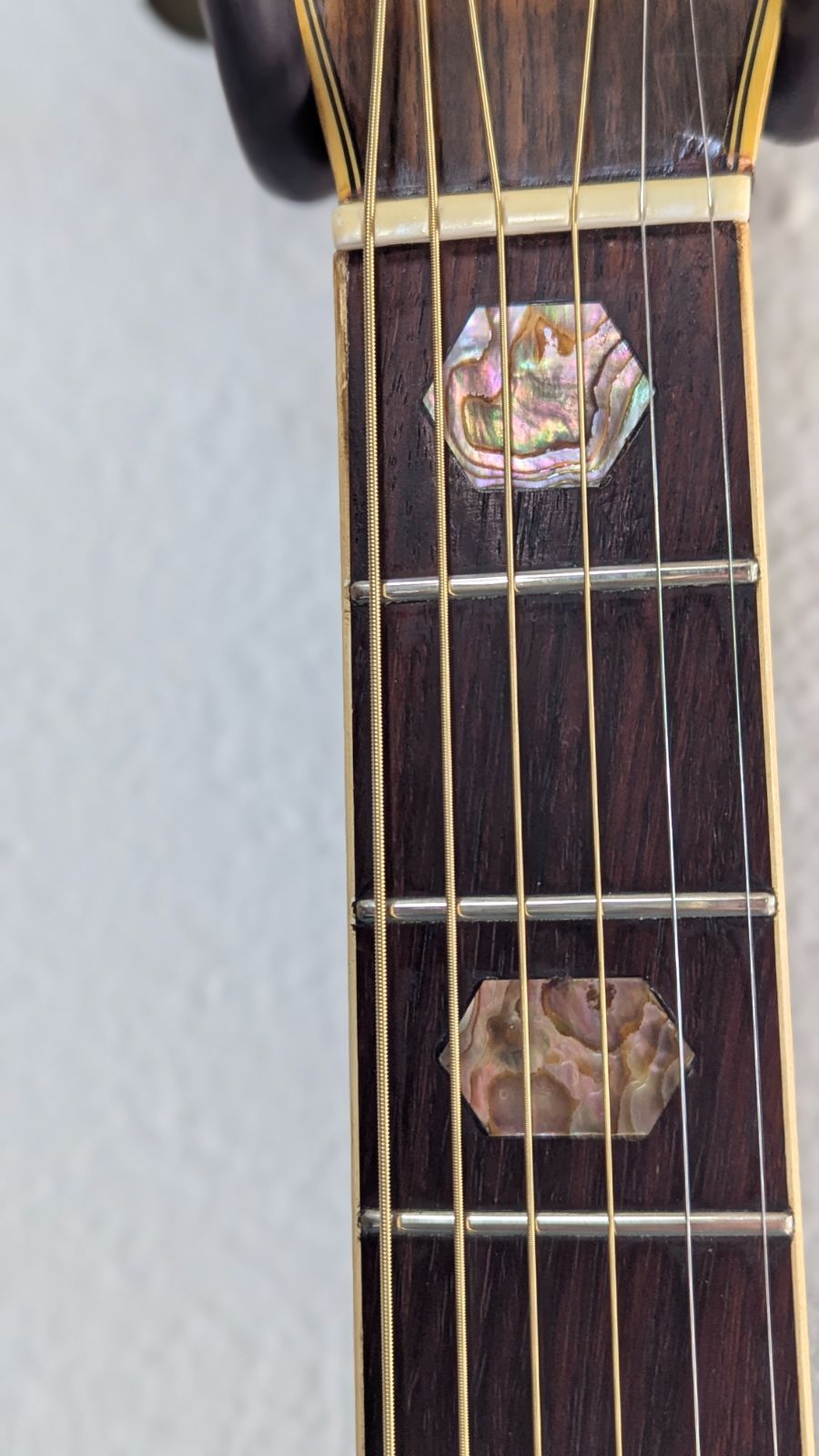 ハードケース付】林楽器 Rider R-500D アコースティックギター