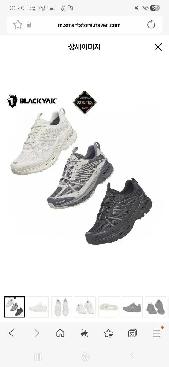 BLACK YAK ブラックヤク ゴアテックス ゴーサン(SAN) トレッキングシューズ 250 新品