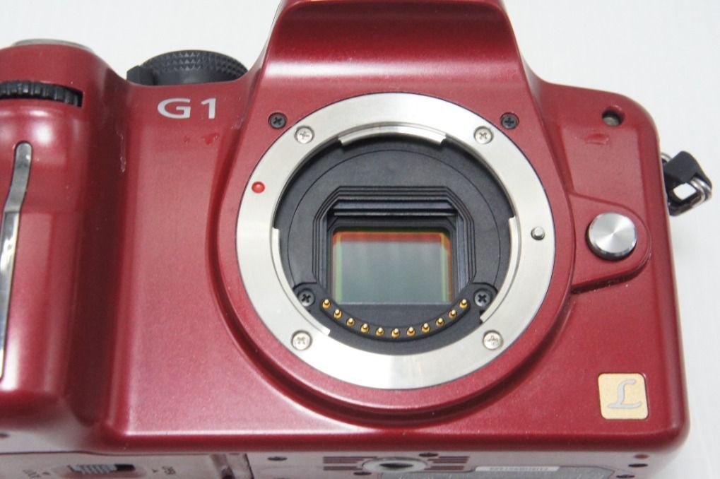 Panasonic パナソニック LUMIX DMC-G1 ボディ ミラーレス一眼カメラ