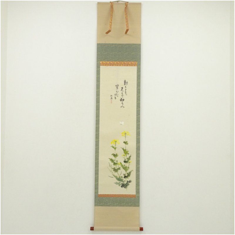 濱田松陽筆 俳句 菜の花 肉筆紙本掛軸(共箱) 掛け軸 床の間 書 おしゃれ 絵画 表具 芸術 茶道 年中掛け インテリア 茶掛 掛物 和室