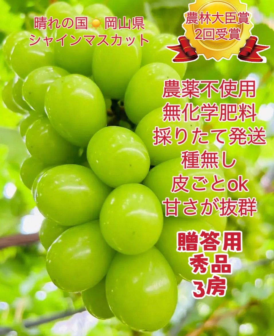 岡山県産シャインマスカット 400g×3房　贈答用 秀品 栽培期間中農薬不使用 農林大臣賞2度受賞 糖度16度以上 パリッと食感 芳醇な香り 種あり 皮ごとOK 贈答用 ギフト お中元 誕生日お祝い プレゼント高級ぶどう新鮮 採れたて 6,853円
