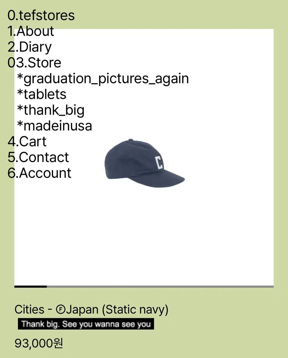 テフストアーズ tefstores Lサイズ 新品