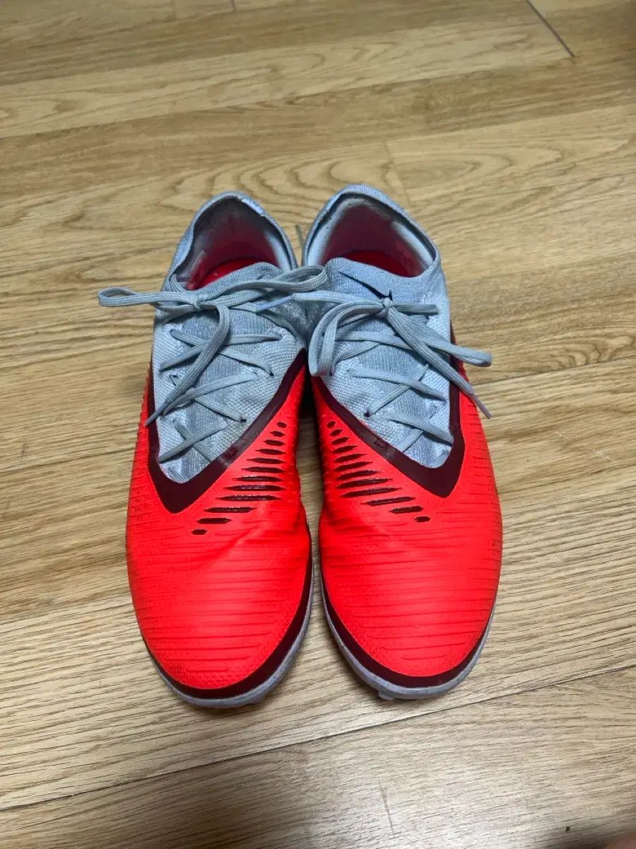 FANTOM6 プロTF 270
