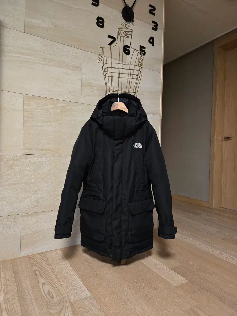 100/L THE NORTH FACE ザノースフェイス メンズ グース ダウン
