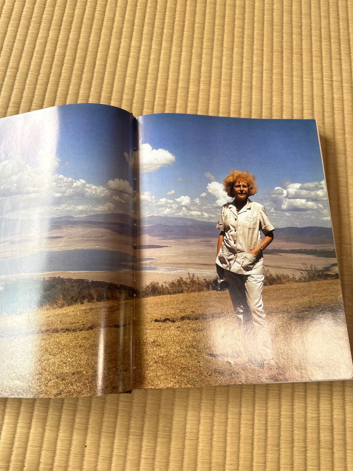 レニ・リーフェンシュタール 写真集「Africa アフリカ」2005年 レニ・リーフェンシュタール 写真集「Africa アフリカ」2005年 Amazon