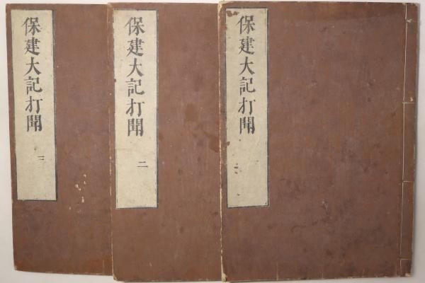 保建大記打聞