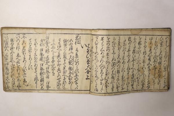 はなひ草大全(花火草大全)