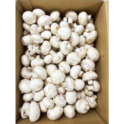 芳醇ホワイトマッシュルーム(規格外) 約1KG 冷蔵【5個セット】