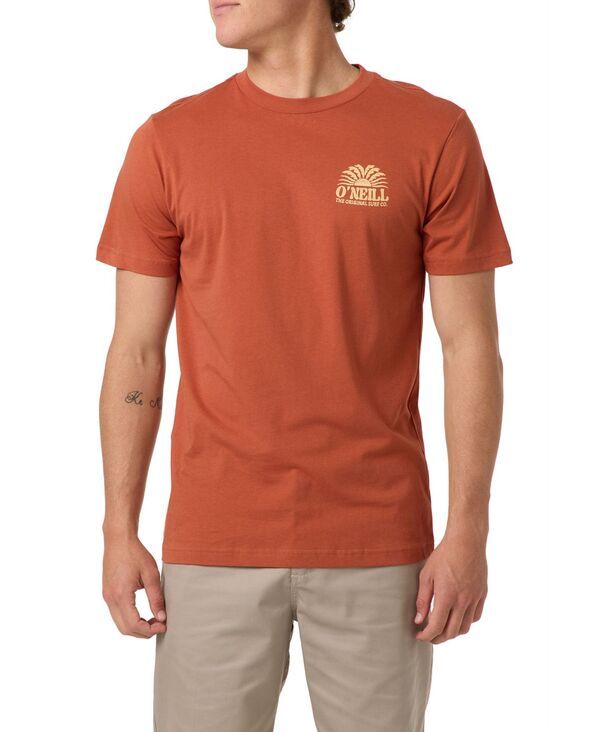 【送料無料】 オニール メンズ Tシャツ トップス Mens Round Neck TShirt Chutney