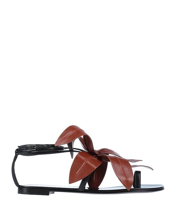 ジュゼッペザノッティ レディース シューズ サンダル GIUSEPPE ZANOTTI Black ブラック