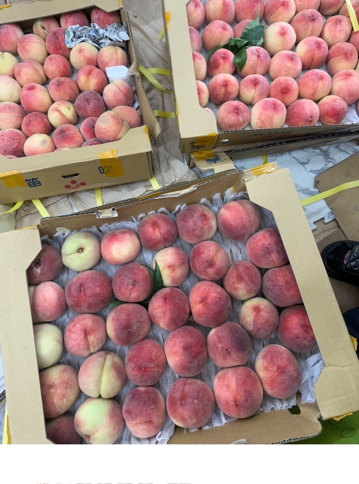 山梨県産　硬い桃　もも５ｋｇ 山梨県産 硬い品種の桃 5kg 訳あり 新品 - メルカリ