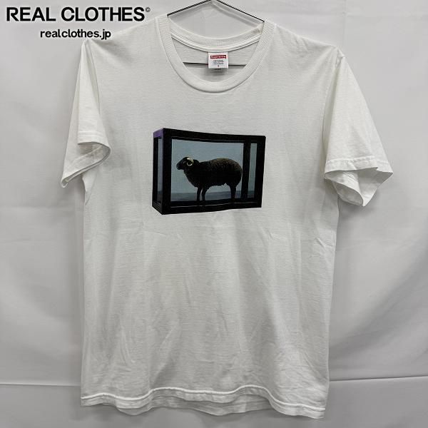 Supreme/シュプリーム【25SS】Damien Hirst Tee ダミアン ハースト