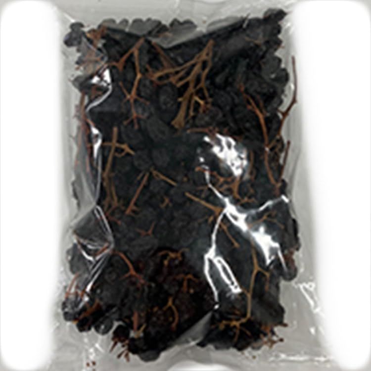チリ産枝付きレーズン 500G 常温【5個セット】 14,897円