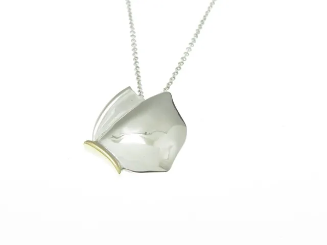 TIFFANY&Co ティファニー バタフライネックレス ネックレス シルバー