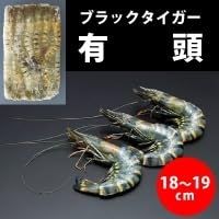 有頭ブラックタイガー 35尾 1.3KG 冷凍【5個セット】