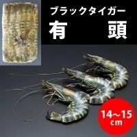 有頭ブラックタイガー 60尾 1.3KG 冷凍【5個セット】