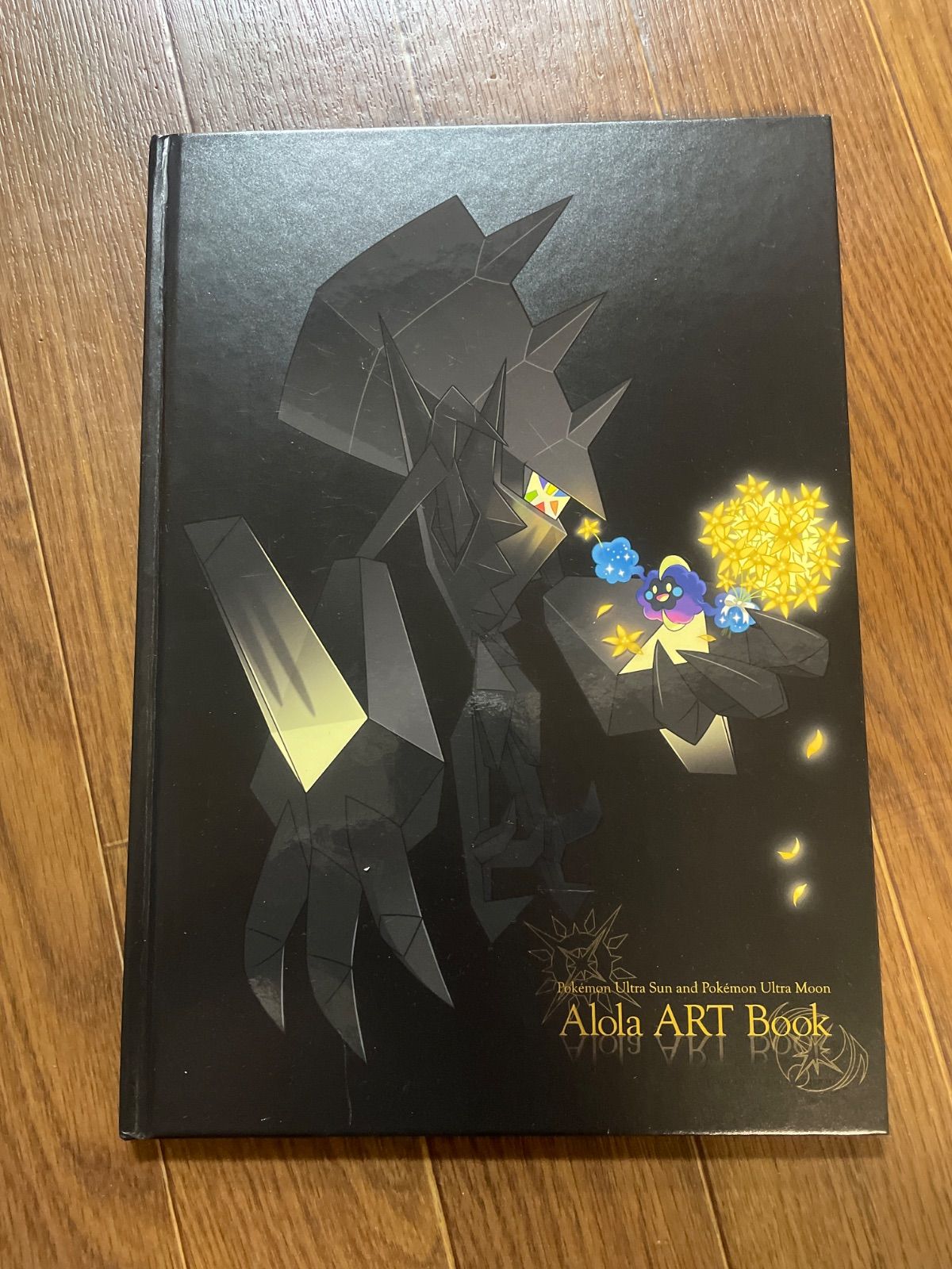 ポケットモンスター ウルトラサン アンド ウルトラムーン Alola ART