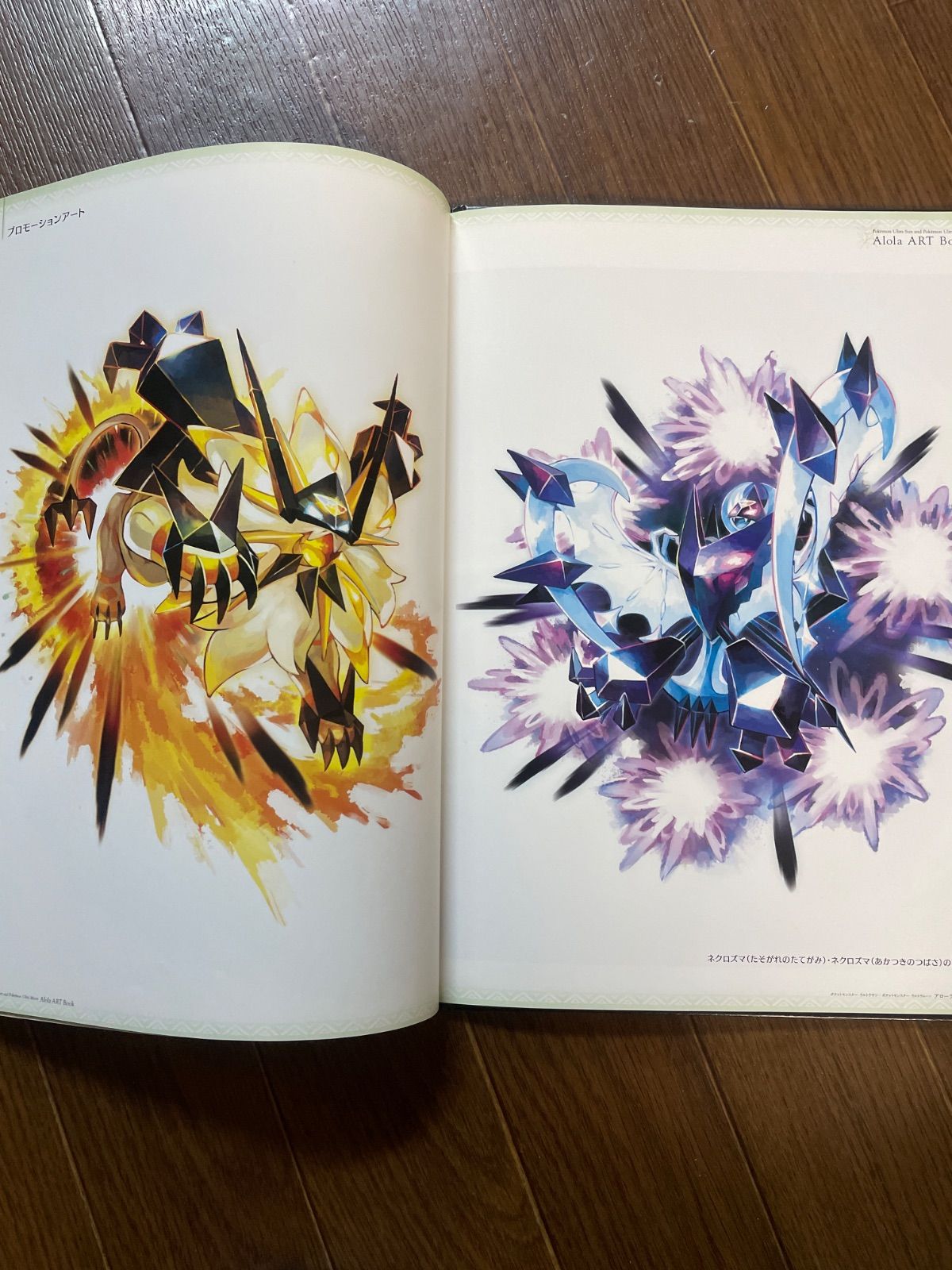 ポケットモンスター ウルトラサン アンド ウルトラムーン Alola ART