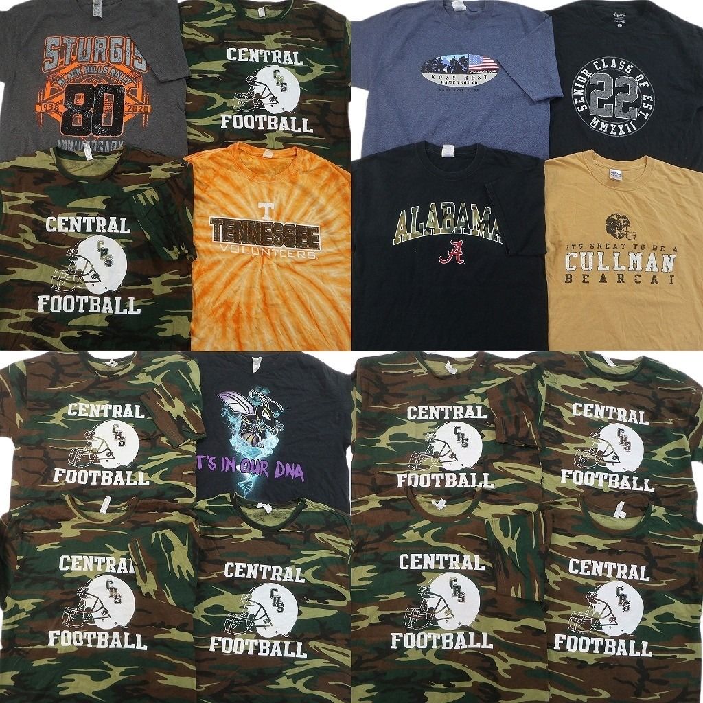 古着卸 まとめ売り プリント Tシャツ 16枚セット ( メンズ L ) カレッジ風 タイダイ柄 迷彩柄 アーチロゴ 中古 古着 NF6980