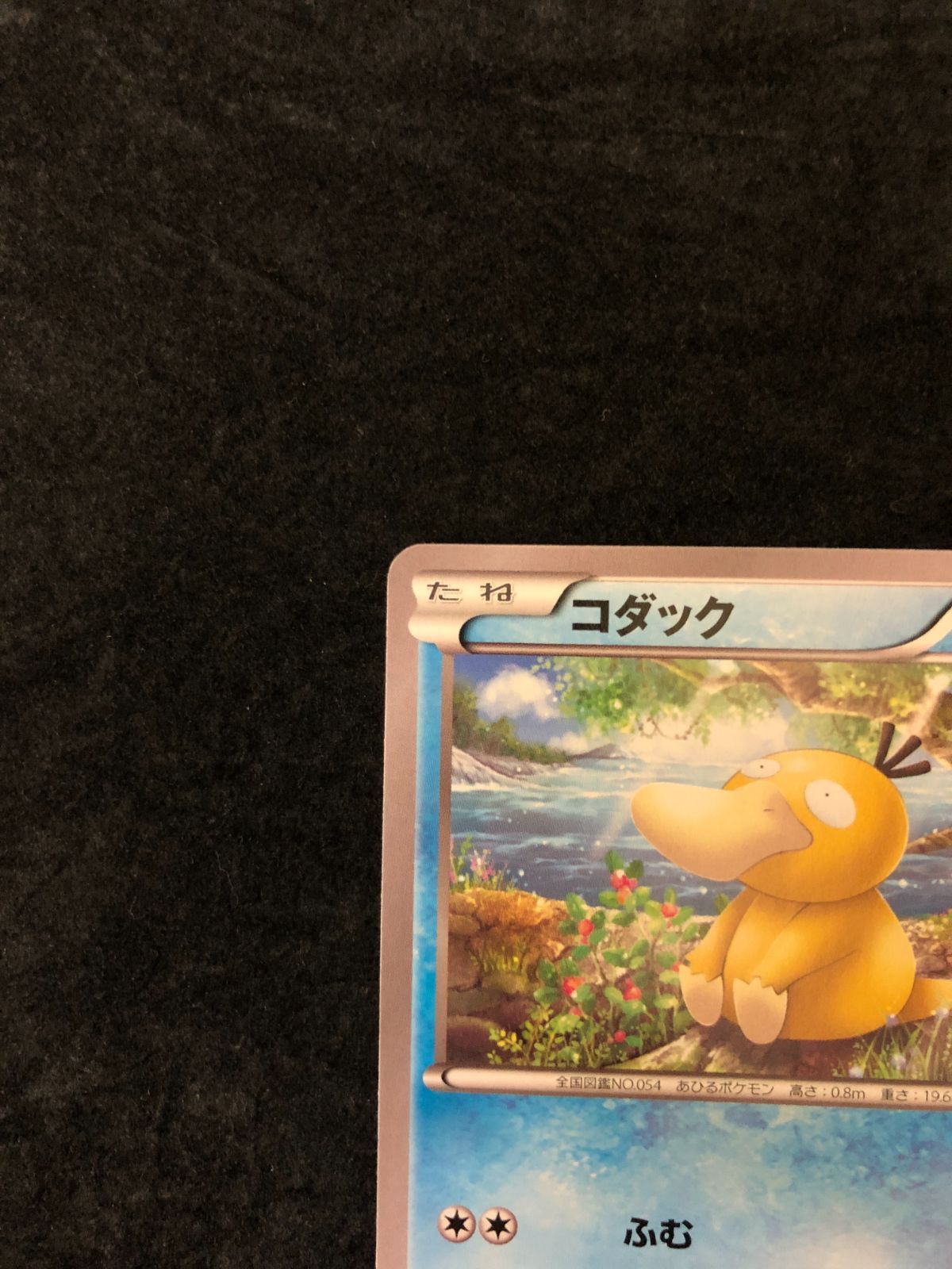 ポケモンカード コダック XYF 001/016 「BREAKコンボデッキ60
