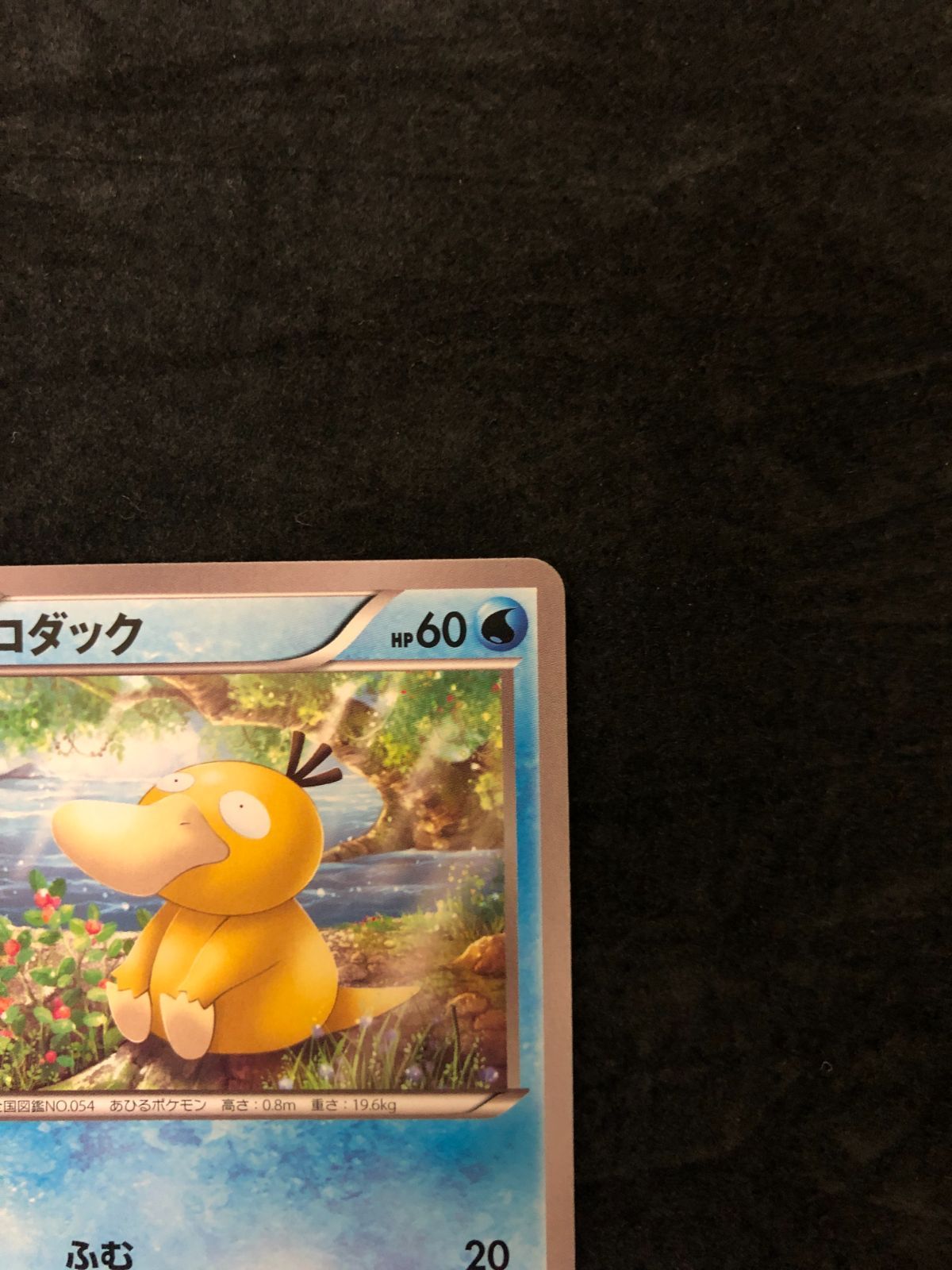 ポケモンカード コダック XYF 001/016 「BREAKコンボデッキ60