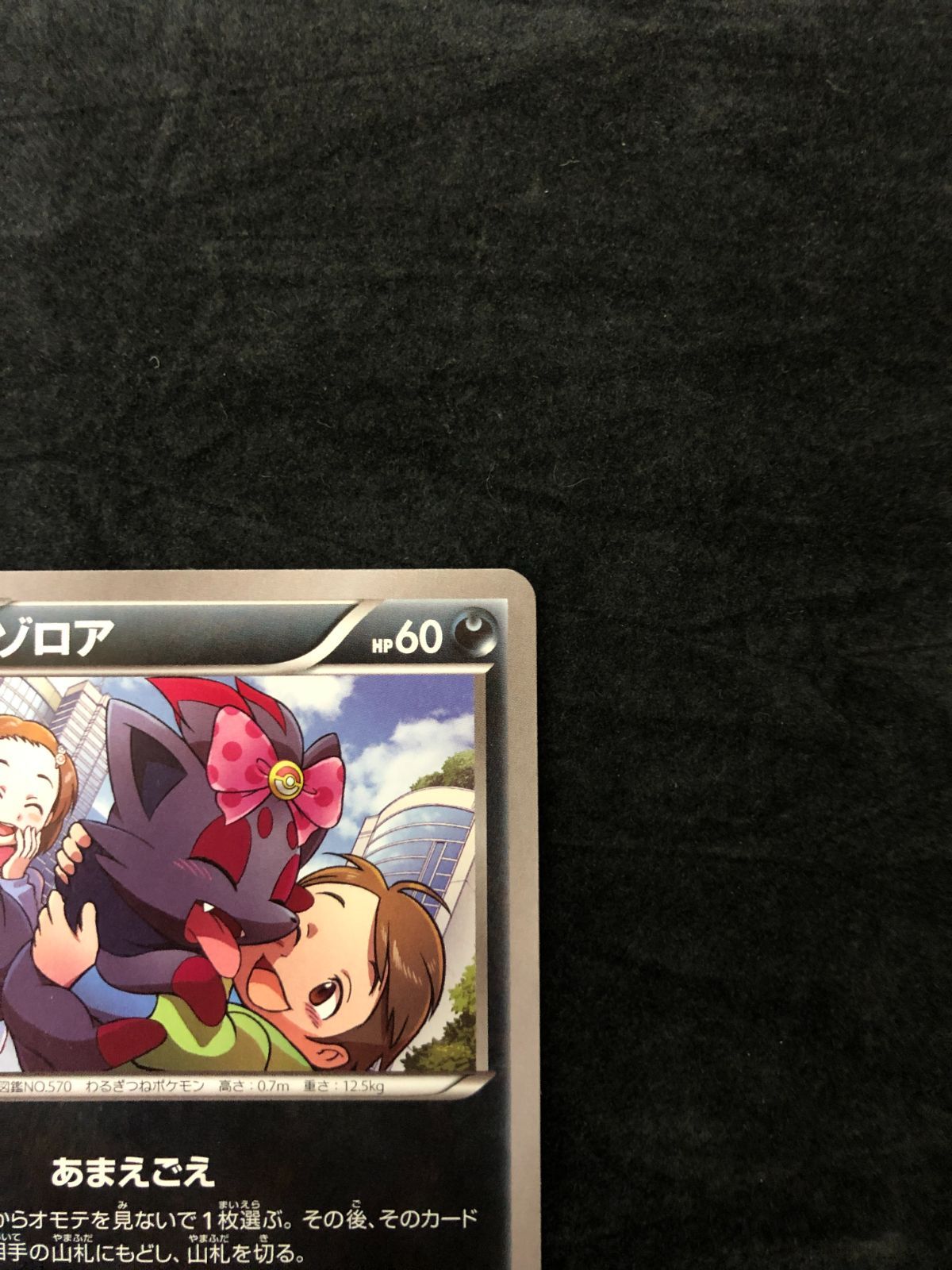 ポケモンカード ゾロア C XY8 041/059 「赤い閃光」 - メルカリ