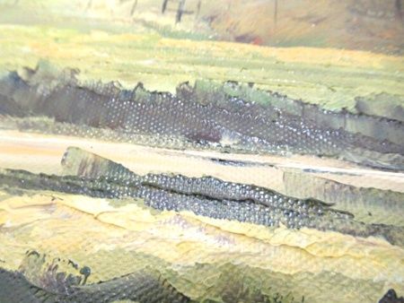 さわ たけし 沢健 奥信濃の民家 真筆証明書付 額付絵画 油彩10号 風景