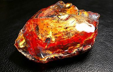 【新品】 天然石（原石） 天然化石珪化木両面研磨10000分の1の三畳紀 標本 鉱物 原石 銘石インテリアオブジェ★超巨大488g★140mm★120mm★23mm 26100241