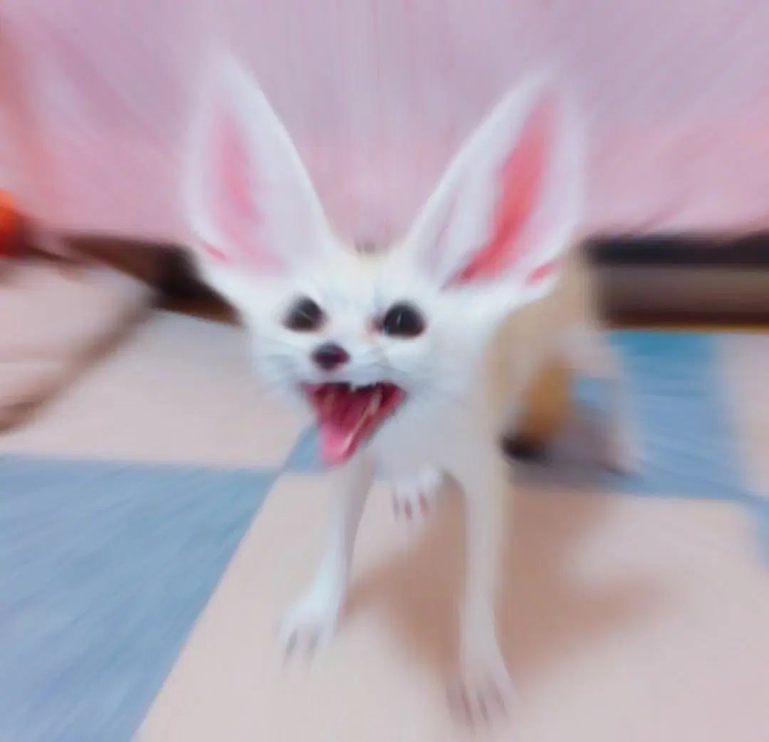 ぬいぐるみカードホルダー 2種
