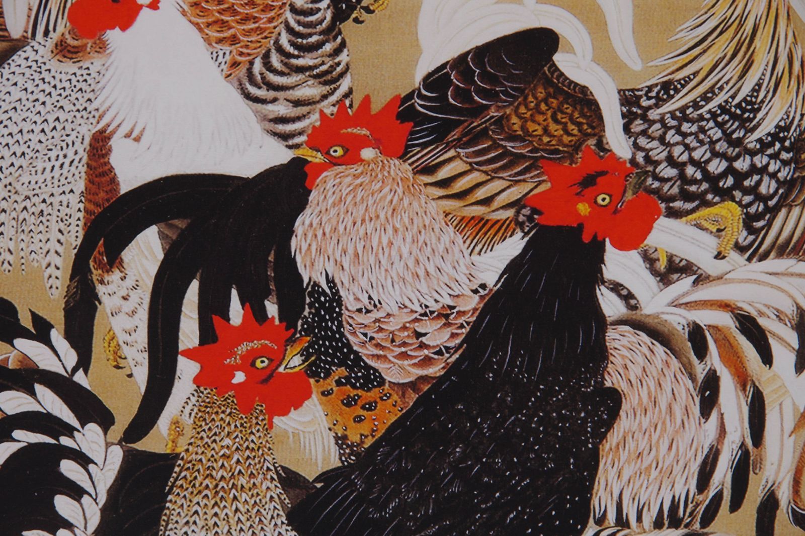 印刷 複製 工芸 掛軸 【 伊藤若冲 群鶏図 】 絹本 紙箱 有名な「鶏」を