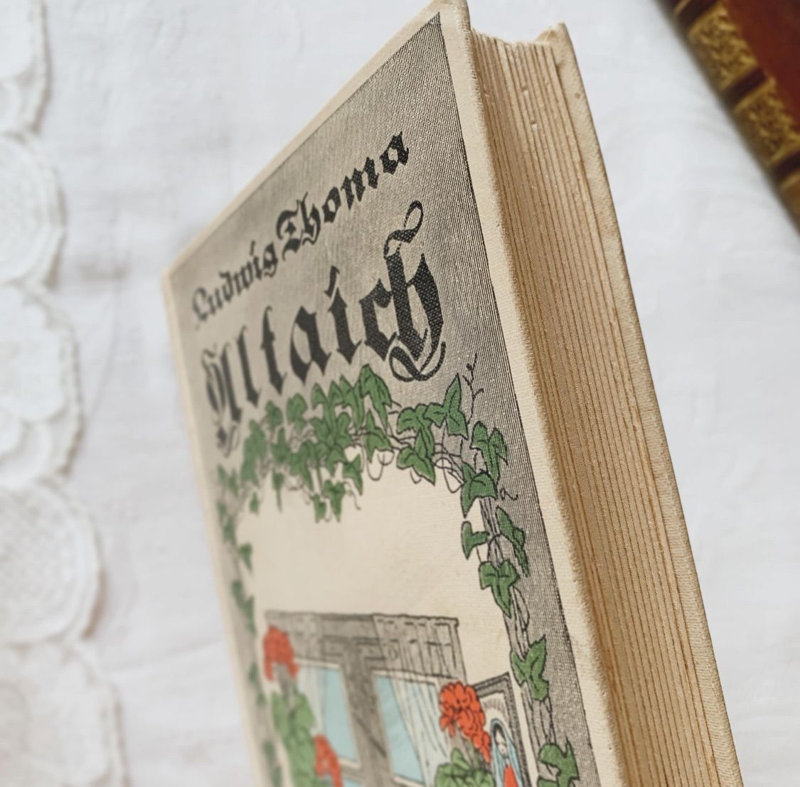 1934年 Altaich ドイツの古書 洋書/ディスプレイ洋書/アンティーク洋書