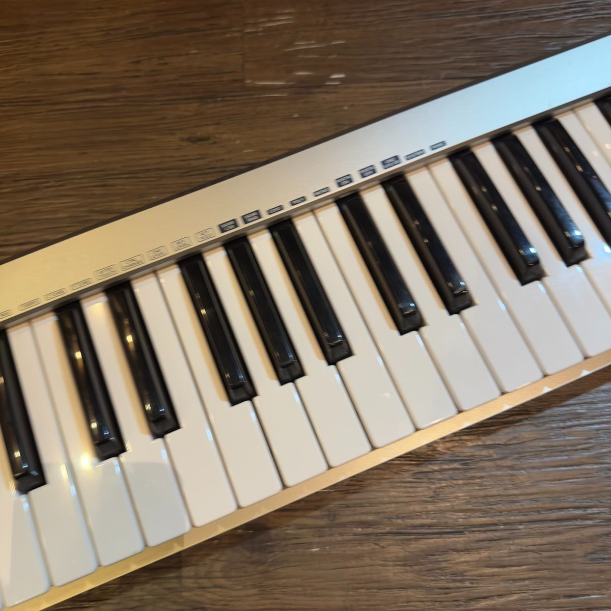 Roland EDIROL PC-50 MIDI Keyboard Controller 49鍵 USB MIDI