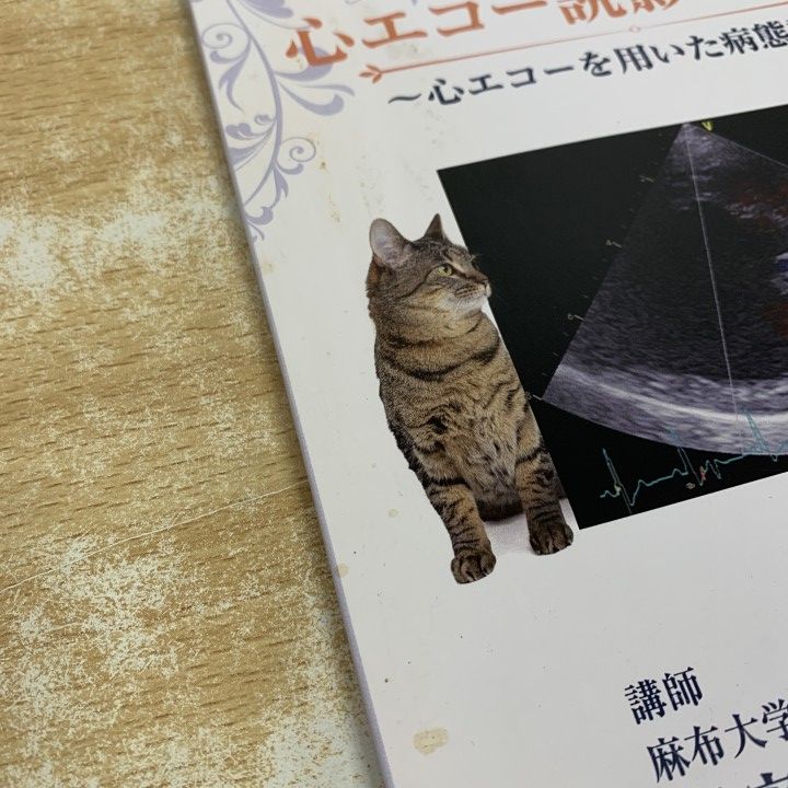 △01)【1点限り!】これで解決！心エコー読影マスター/心エコーを用いた