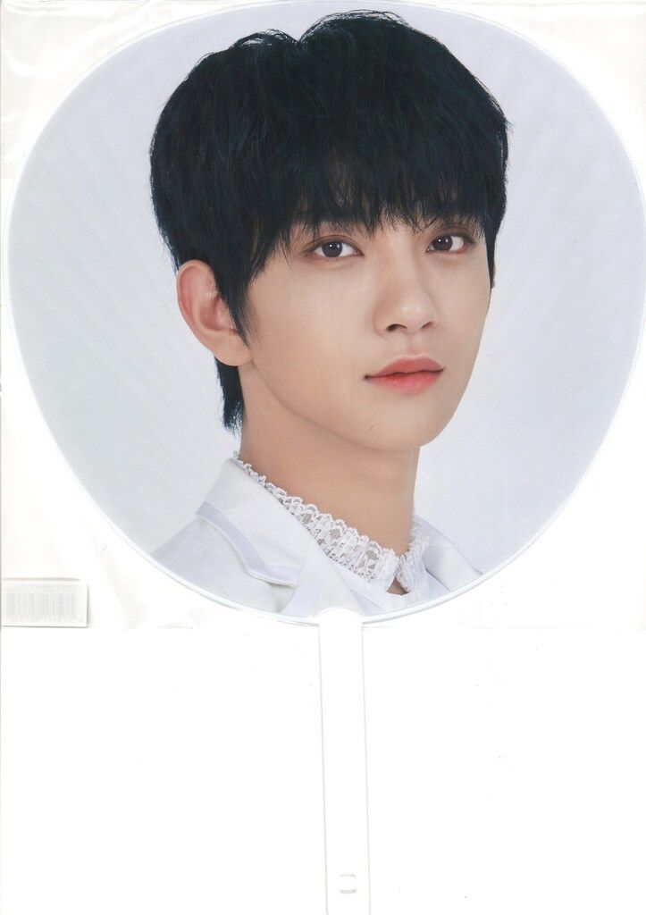SEVENTEEN JOSHUA 2020 SVT うちわ A *イタミ - メルカリ
