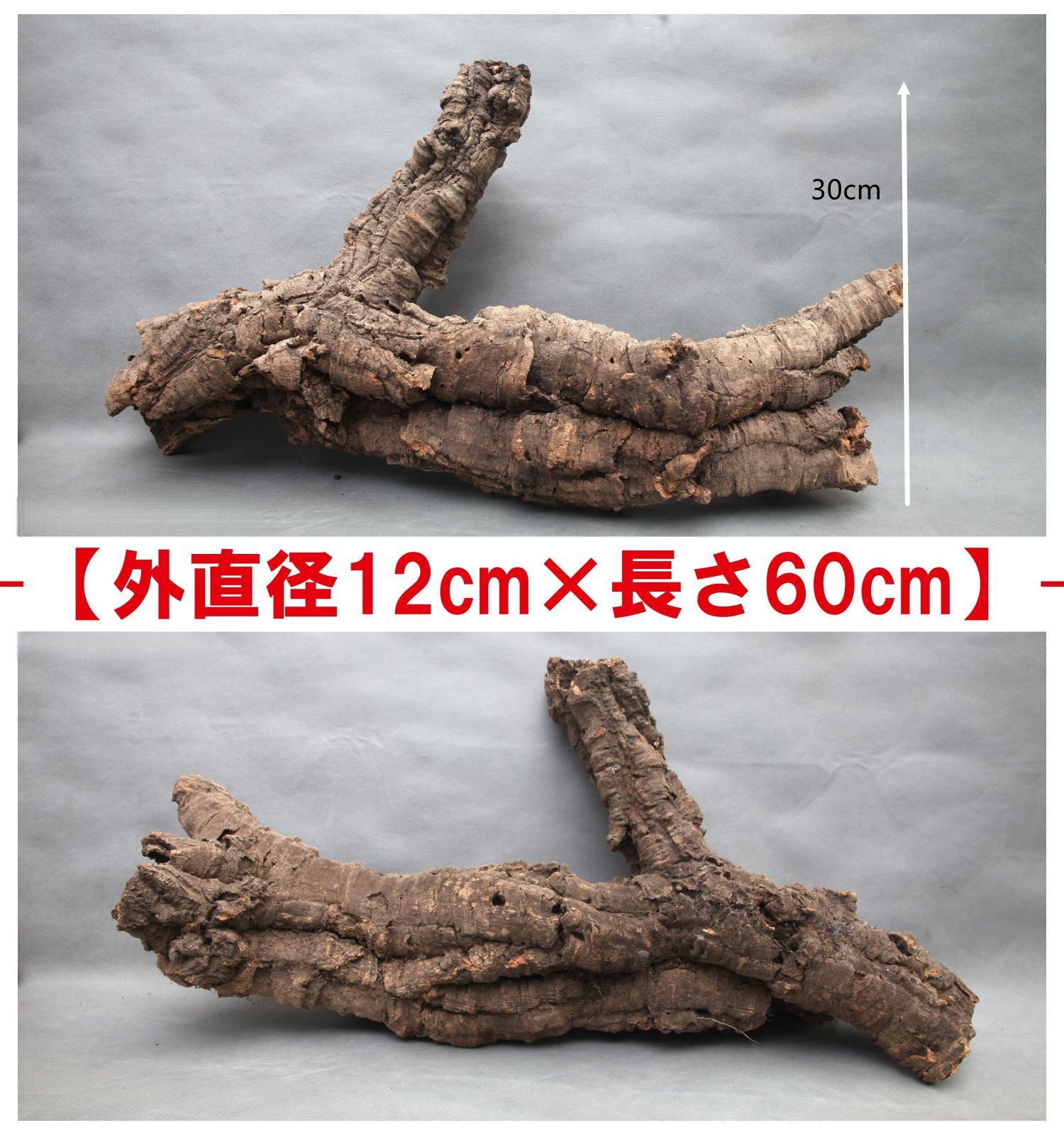 B073 ポルトガル産 キャノンコルク コルク樹皮 コルク板　バージンコルク 高品質　チランジア　ビカクシダ　着生ラン　両生類　爬虫類　コウモリラン　板付　エアープランツ 鳥用おもちゃ 植物用　水槽用　壁飾り　天然素材　DIY　大人気