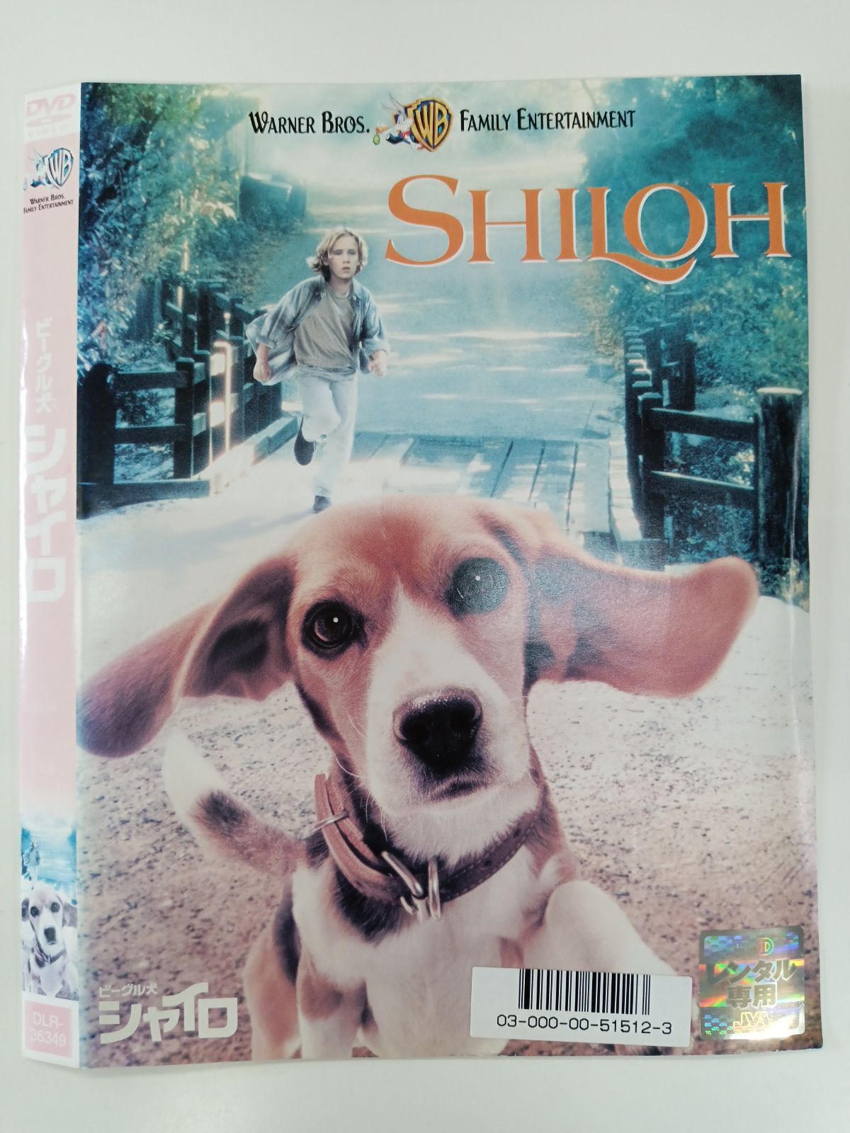 ビーグル犬 シャイロ J-6 - メルカリ