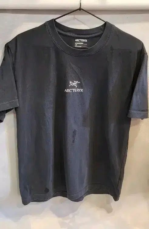 ARC'TERYX アークテリクス 半袖T L/G
