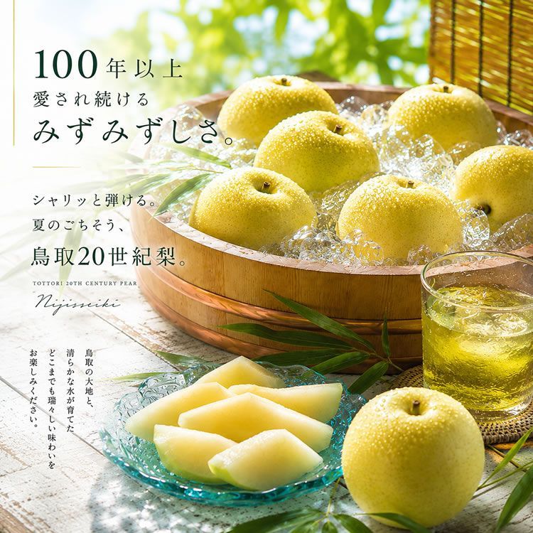 鳥取県産20世紀梨＆岡山県産種無しピオーネ ギフトセット [20世紀
