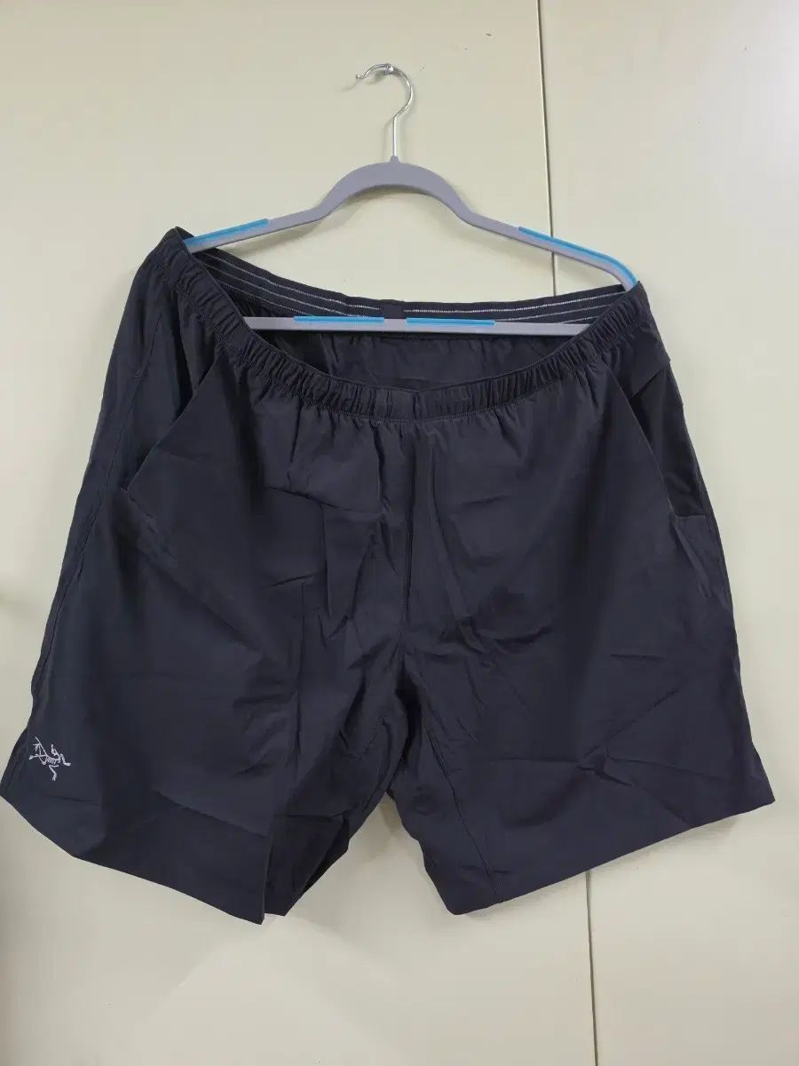 ARC'TERYX アークテリクス インセンド ショーツ 9インチ ヘビー タート