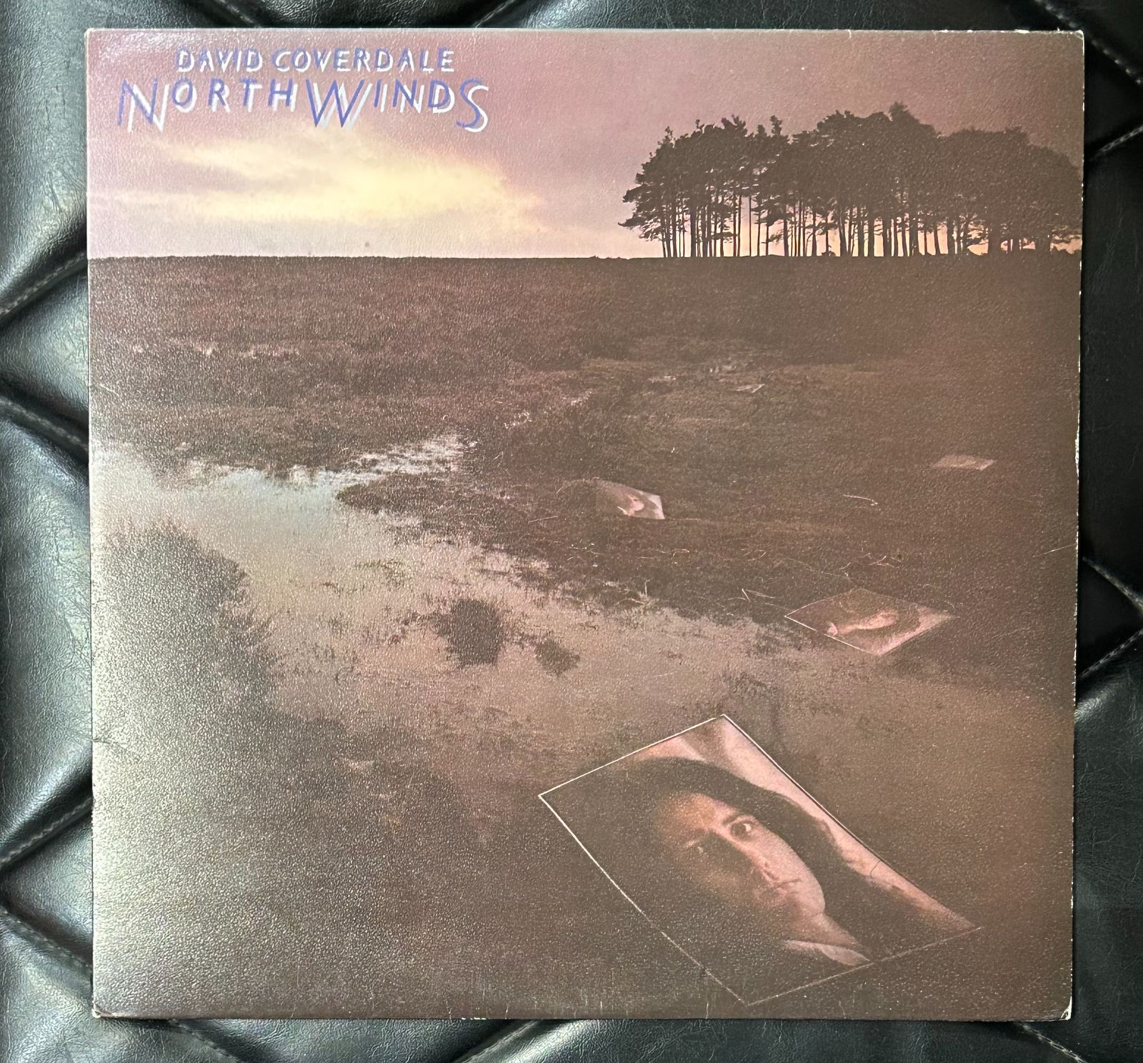 UKオリジナル盤レコード】David Coverdale 「Northwinds