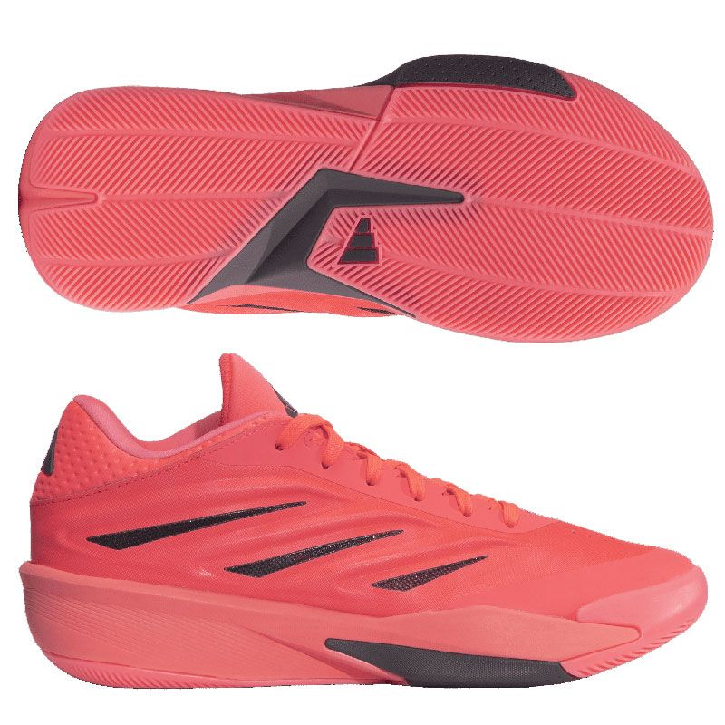 サイズ24.5cm、アディダス adidas CRAZY ENERGY JAPAN クレイジーエナジージャパン バスケットシューズ バッシュ 26AW(LA5638)