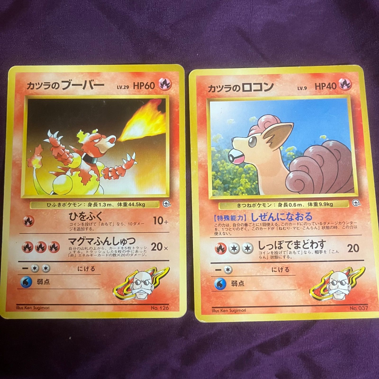 旧裏 マーク無し】ポケモンカード ジムリーダーシリーズ まとめ 11枚