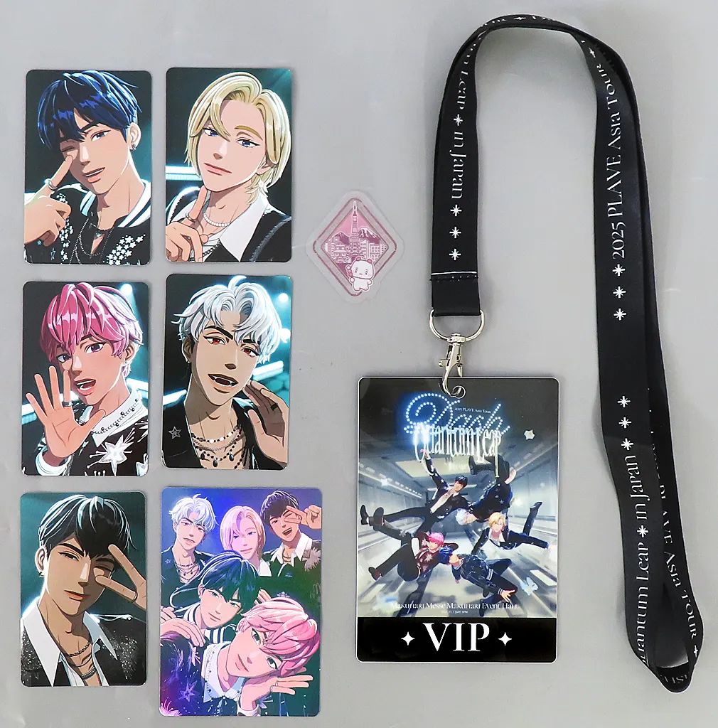 中古】グッズセット 集合(11/1) VIP SEAT PASS ＆ LANYARD 「PLAVE